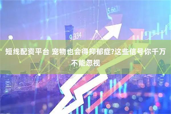 短线配资平台 宠物也会得抑郁症?这些信号你千万不能忽视