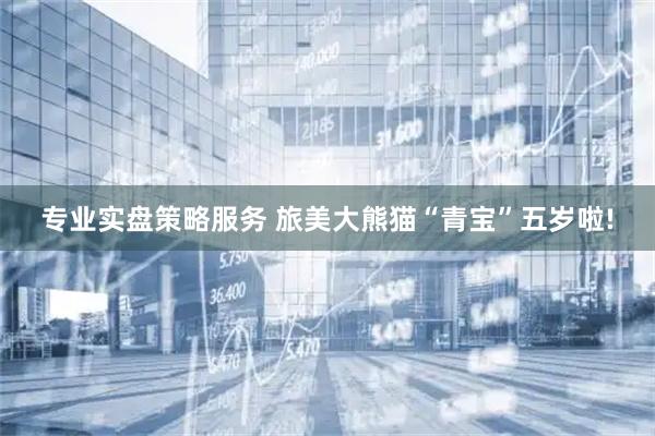 专业实盘策略服务 旅美大熊猫“青宝”五岁啦!